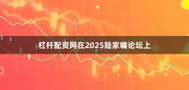 杠杆配资网在2025陆家嘴论坛上
